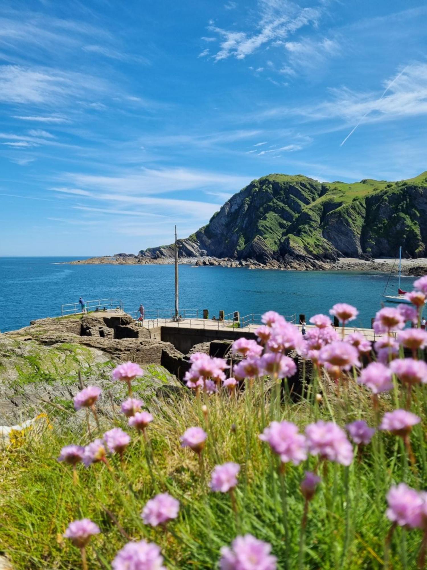 Sandpiper Cottage: Cosy Home Near The Beach Woolacombe Bagian luar foto
